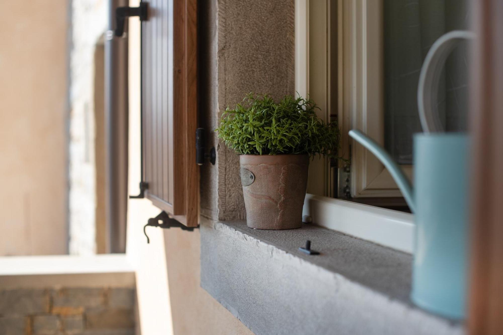 Truffle House Karlic Apartment Buzet Exterior foto